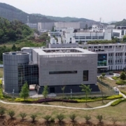 Wuhan Institute of Virology