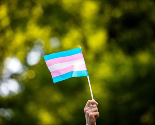 Transgender flag